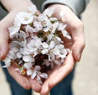 chungkuk-bae-241046-unsplash